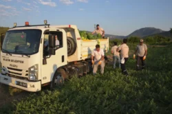 Bilecik’te vatandaşlara 50 ton karpuz dağıtıldı