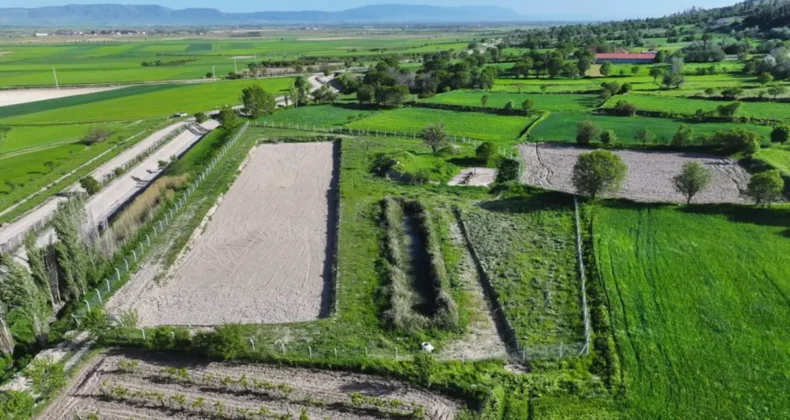 Denizli’ye çevre dostu doğal arıtma tesisi