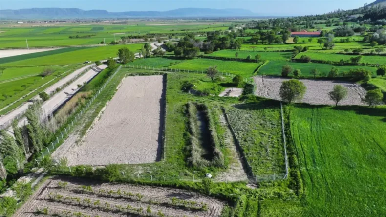 Denizli’ye çevre dostu doğal arıtma tesisi