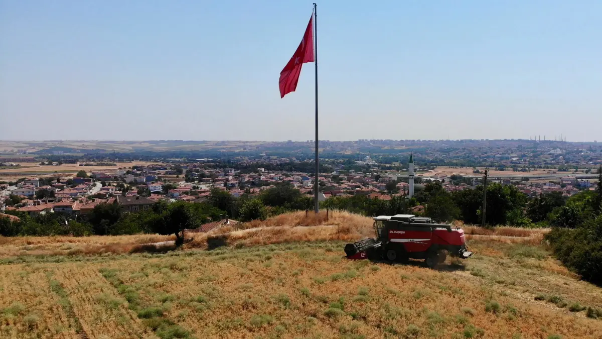 Edirne Belediyesi, tarımsal üretim faaliyetleri kapsamında Yıldırım Mahallesi Hıdırlık Mevkii’nde