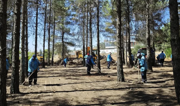 Gaziantep’te orman yangınlarına karşı tedbirler alındı