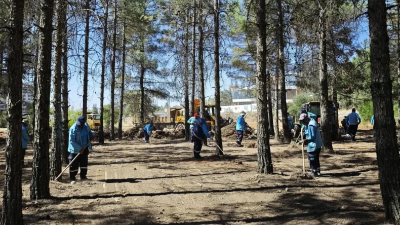 Gaziantep’te orman yangınlarına karşı tedbirler alındı