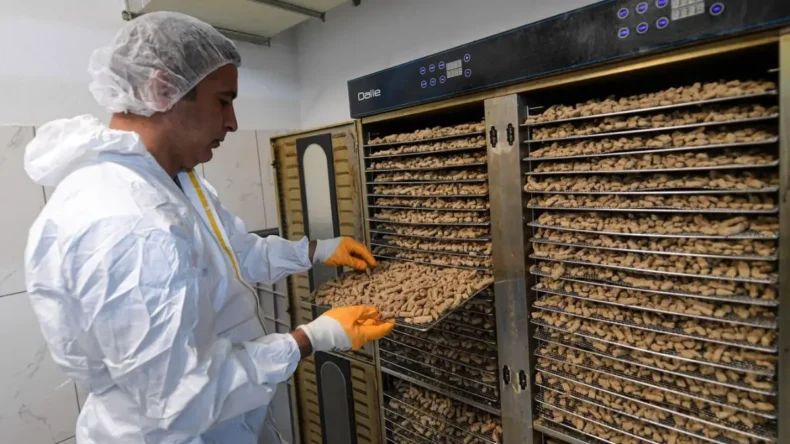 İzmir’de koruma altındaki köpeklere özel mama üretiliyor