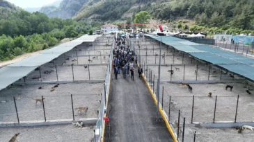 Bölgenin en büyük hayvan bakımevi Karabük’te açıldı