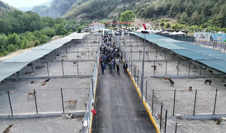 Bölgenin en büyük hayvan bakımevi Karabük’te açıldı