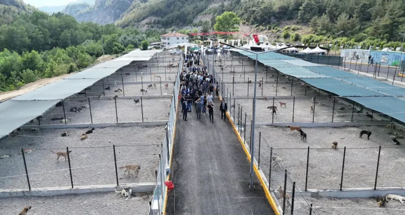 Bölgenin en büyük hayvan bakımevi Karabük’te açıldı