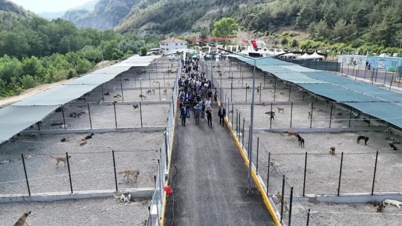 Bölgenin en büyük hayvan bakımevi Karabük’te açıldı