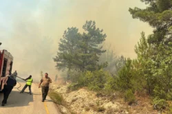 Karabük’te bir orman yangını daha çıktı!