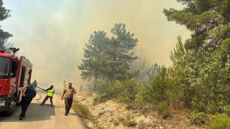 Karabük’te bir orman yangını daha çıktı!