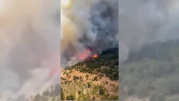 Konya’daki orman yangıyla mücadele! Anız yakıldığı için çıktığı belirlendi…
