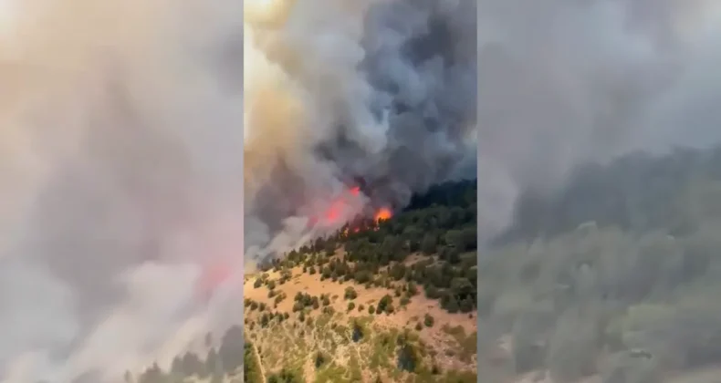 Konya’daki orman yangıyla mücadele! Anız yakıldığı için çıktığı belirlendi…