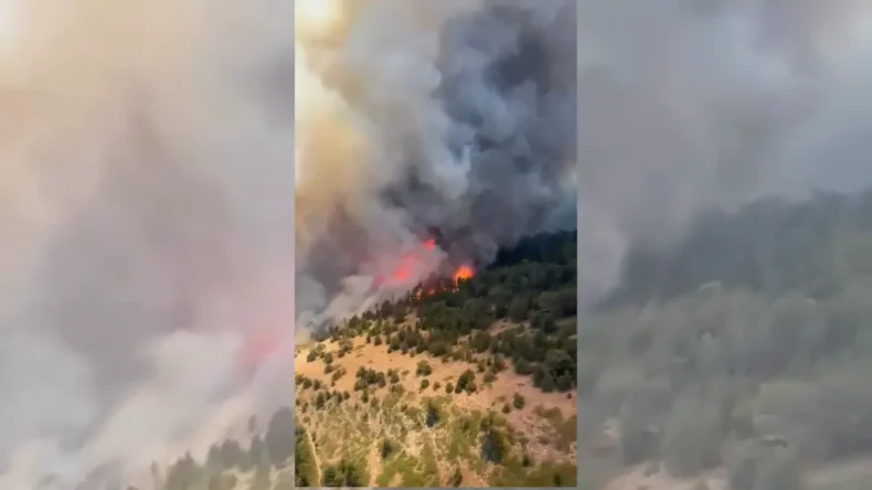 Konya’daki orman yangıyla mücadele! Anız yakıldığı için çıktığı belirlendi…