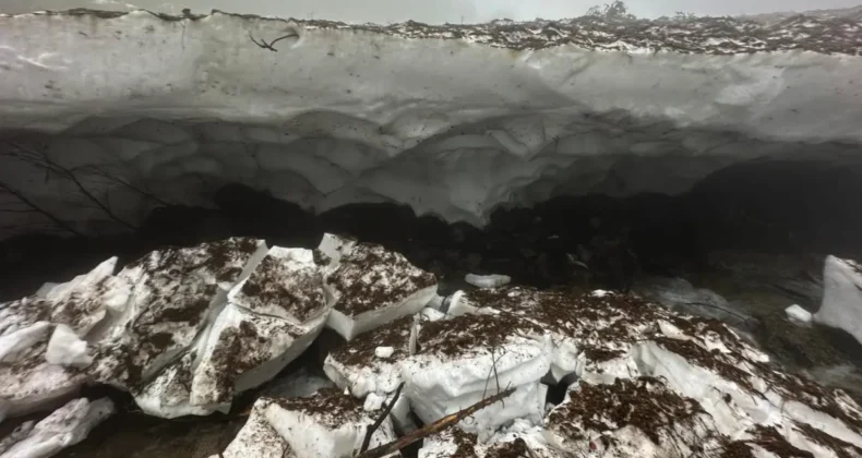 Ayder’de üzerine kar yığını düştü! 1 kişi hayatını kaybetti
