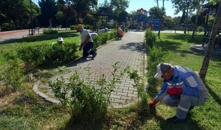 Sincan’da park ve bahçelere özenli dokunuş