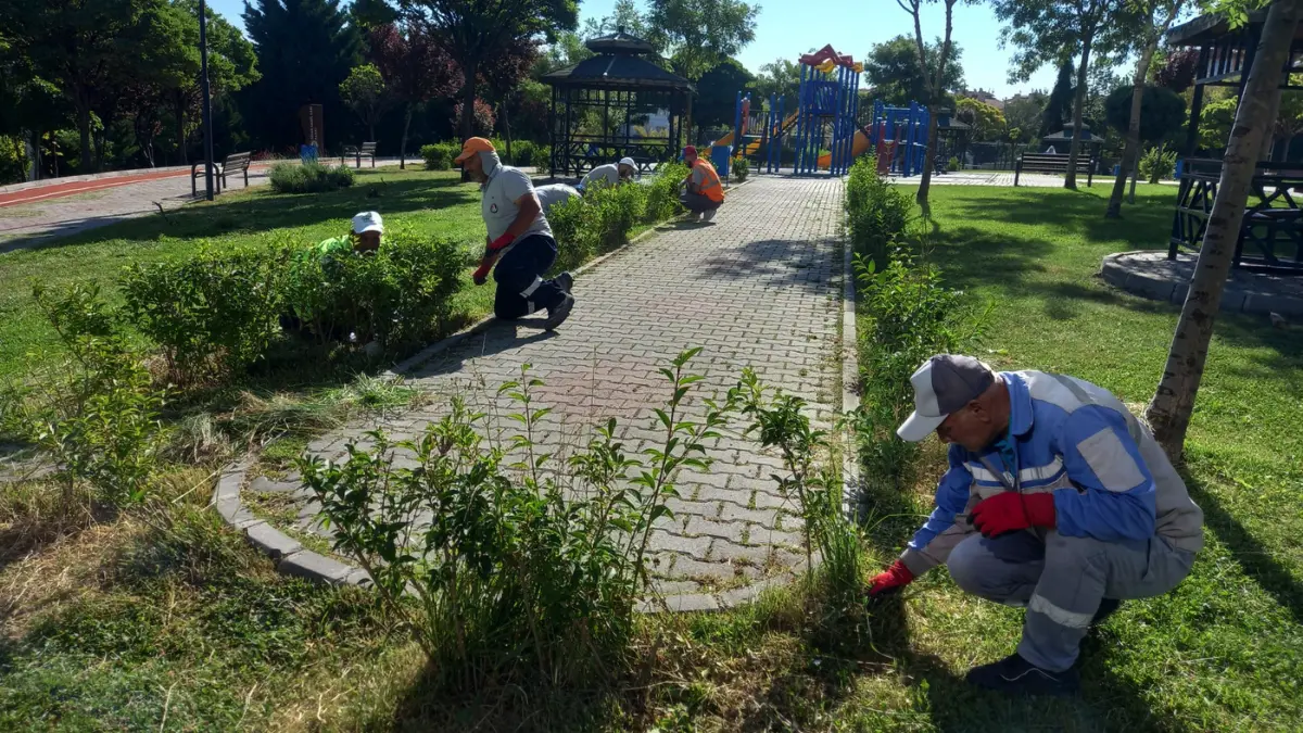 Sincan Belediyesi Park ve Bahçeler Müdürlüğü ekipleri, ilçe genelinde daha