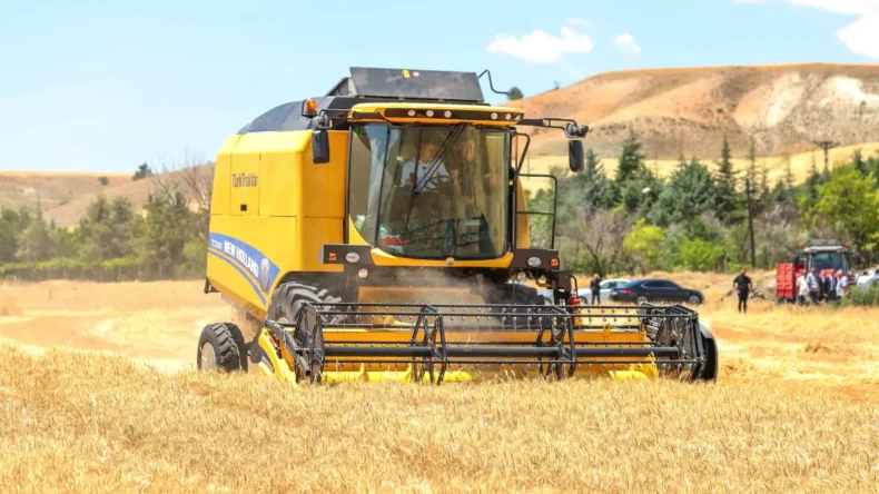 Sincan’da tahıl hasadı başladı