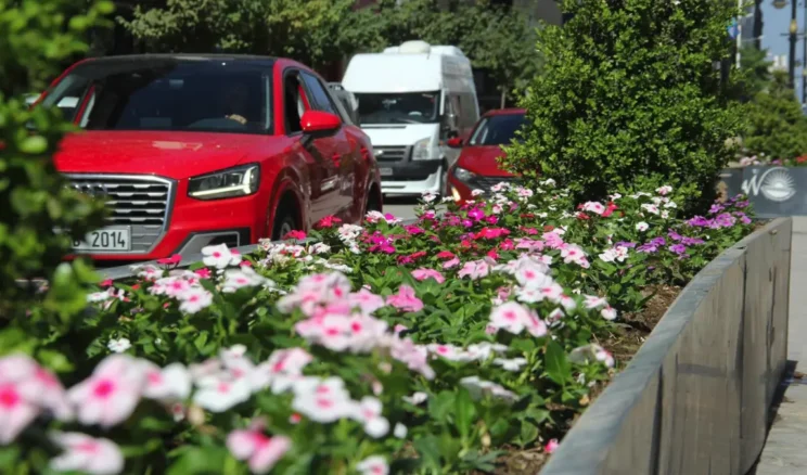 Van’da cadde ve kavşaklar çiçek açtı