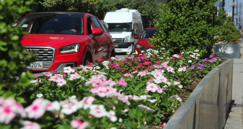 Van’da cadde ve kavşaklar çiçek açtı