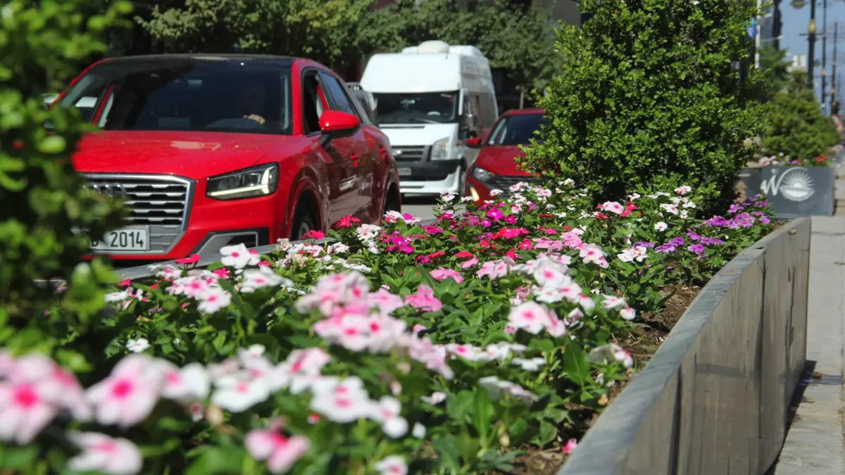 Van Büyükşehir Belediyesi parkları, caddeleri, refüjleri farklı renkteki mevsimlik çiçeklerle