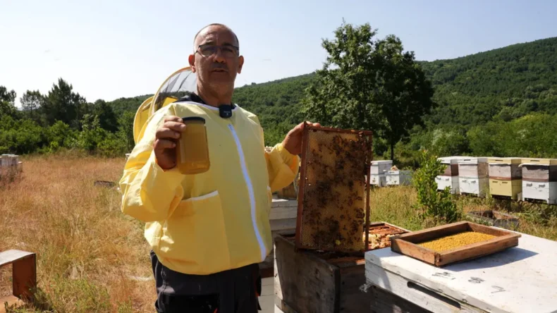 Coğrafi işaretli Yalova Kestane Balı’na belediyeden destek