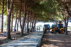 Bursa’ya devasa park ve mesire alanı