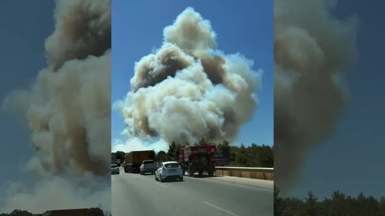 Çanakkale’de orman yangını çıktı