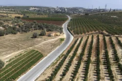 Mersin’de kırsal mahallelere asfalt çalışması