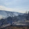 Tokat’ta çıkan orman yangını kontrol altına alındı