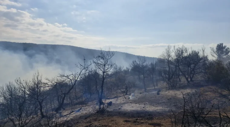 Tokat’ta çıkan orman yangınına müdahale sürüyor