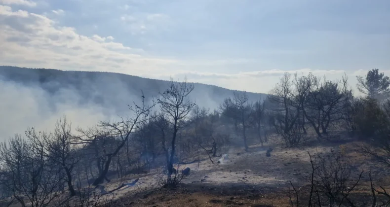 Tokat’ta çıkan orman yangınına müdahale sürüyor