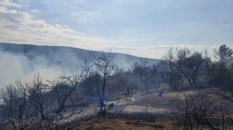 Tokat’ta çıkan orman yangını kontrol altına alındı