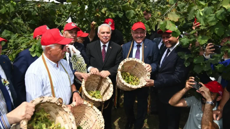 Trabzon’da Dünya Fındık Haftası etkinliği! Başkan Genç fındık topladı…