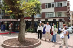 Yalova’da anıt ağaçlar koruma altında