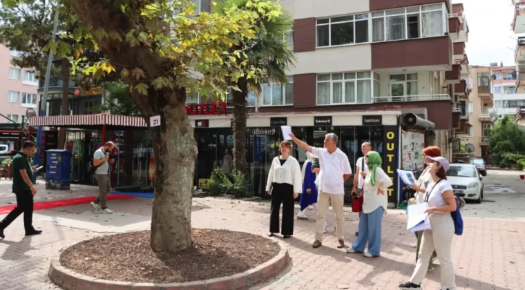 Yalova’da anıt ağaçlar koruma altında