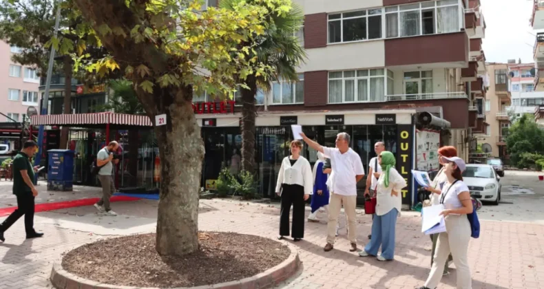 Yalova’da anıt ağaçlar koruma altında