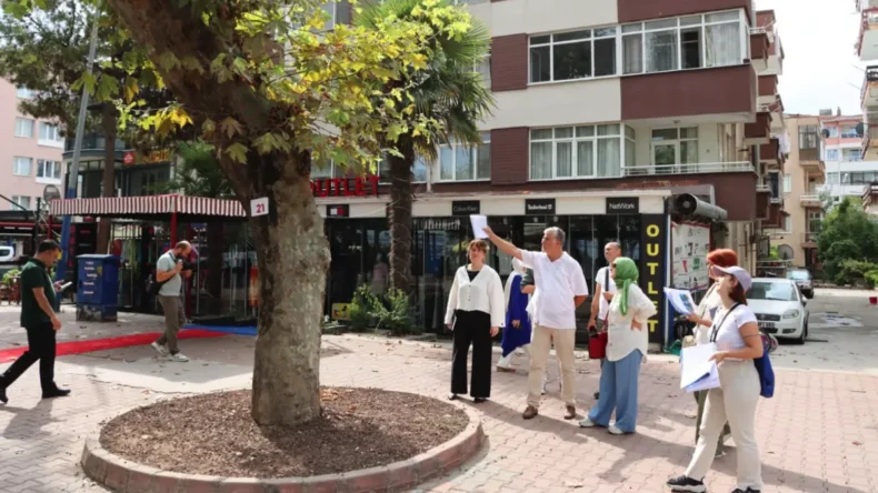 Yalova’da anıt ağaçlar koruma altında