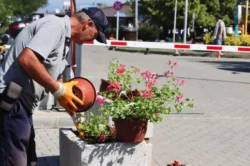 Yalova Belediyesi’nden şehri güzelleştiren dokunuş