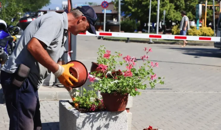 Yalova Belediyesi’nden şehri güzelleştiren dokunuş