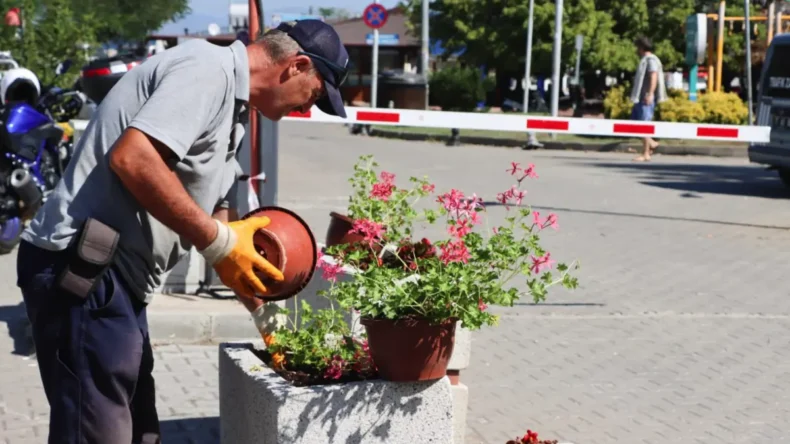 Yalova Belediyesi’nden şehri güzelleştiren dokunuş