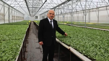 Ordu’da belediye teşviğiyle 4,5 milyon sebze fidesi dikildi