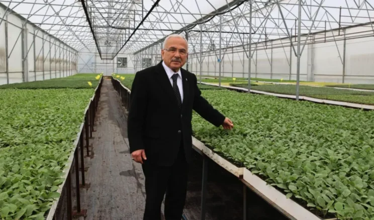 Ordu’da belediye teşviğiyle 4,5 milyon sebze fidesi dikildi