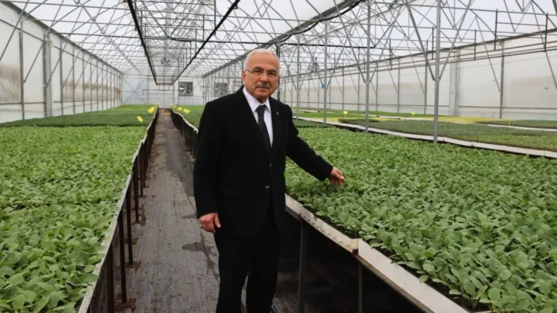 Ordu’da belediye teşviğiyle 4,5 milyon sebze fidesi dikildi