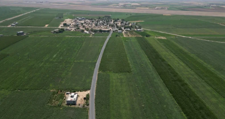 Şanlıurfa’da grup köy yolları asfalt kaplamayla yenilendi