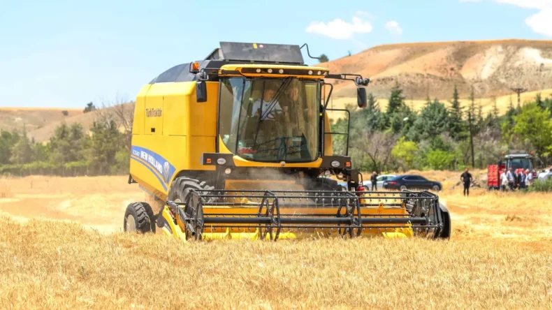 Sincan Belediyesi’nden çiftçilere buğday tohumu desteği