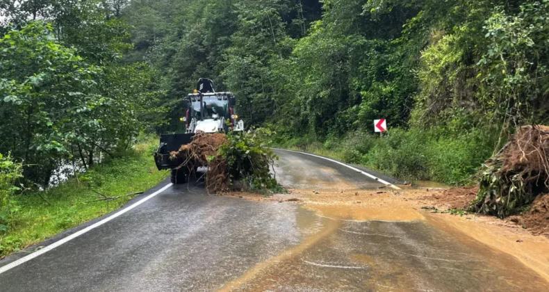 Trabzon’un 4 ilçesinde heyelan meydana geldi