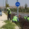 Van Sahil Yolu’nda peyzaj çalışması yapılıyor
