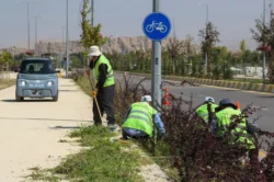 Van Sahil Yolu’nda peyzaj çalışması yapılıyor