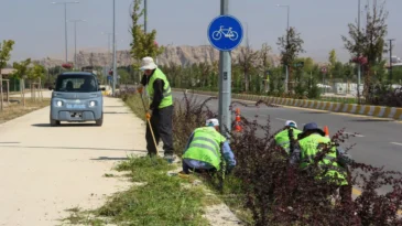 Van Sahil Yolu’nda peyzaj çalışması yapılıyor