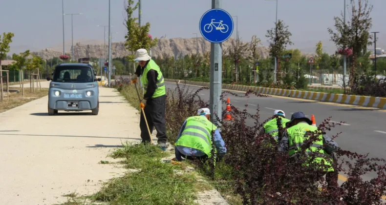 Van Sahil Yolu’nda peyzaj çalışması yapılıyor