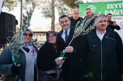 Denizli Büyükşehir’den üreticiye 100 bin zeytin fidanı desteği
